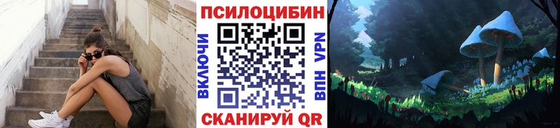 blacksprut ССЫЛКА  как найти закладки  Очёр  Псилоцибиновые грибы Psilocybine cubensis 